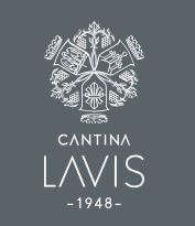 Lavis