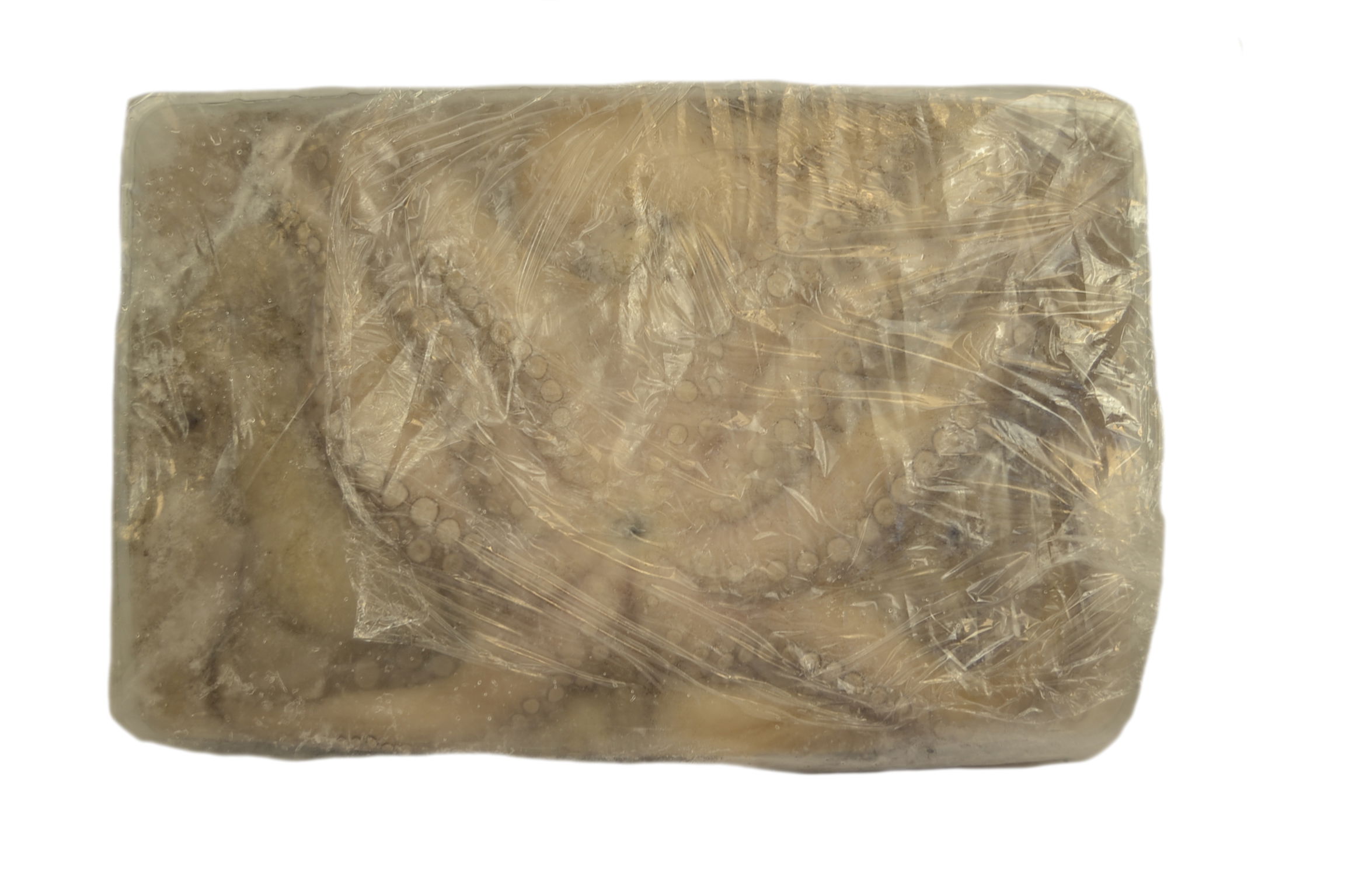 Octopus ganz 5Kg Block egalisiert