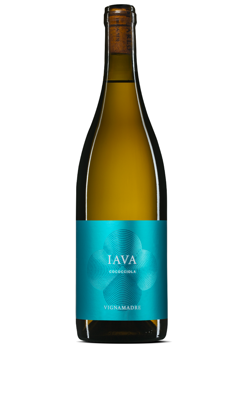 Weißwein, Blaues Etikett, Flasche, IAVA?, VIGNAMADRE