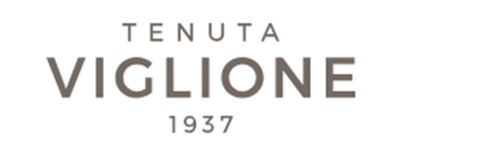 top, logo, brand logo, text logo