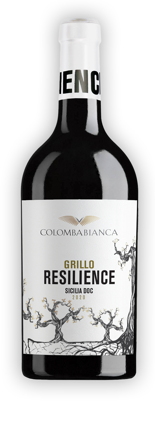 Resilience Grillo Sicilia DOC 0,75l 13% - 2022 | Colomba Bianca