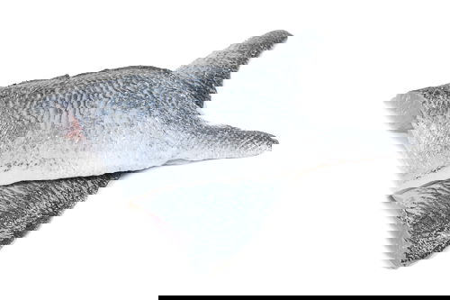 Dorade Filet 80/120 1kg | Anduronda