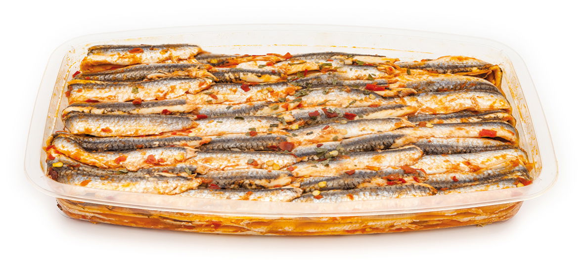 Sardellenfilets in pikanter Soße in Öl  550g (Eimer Rund)/ Renna