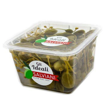 Kräuterig, Kräuter, Pflanze