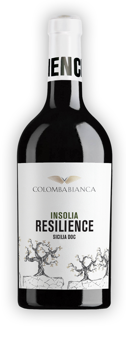 Resilience Insolia Sicilia DOC 0,75l 13% - 2021 | Colomba Bianca