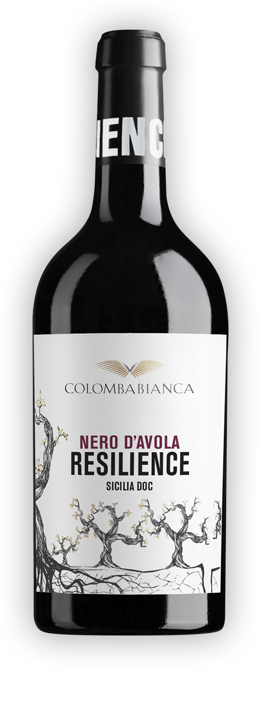 Resilience Nero d'Avola Sicilia DOC 0,75l 14,5% - 2021 | Colomba Bianca