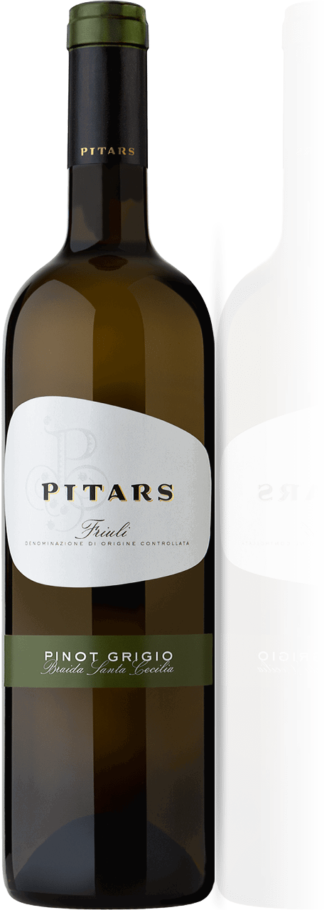 Pinot Grigio DOC Friuli 0.75l 13% - 2022 | Pitars