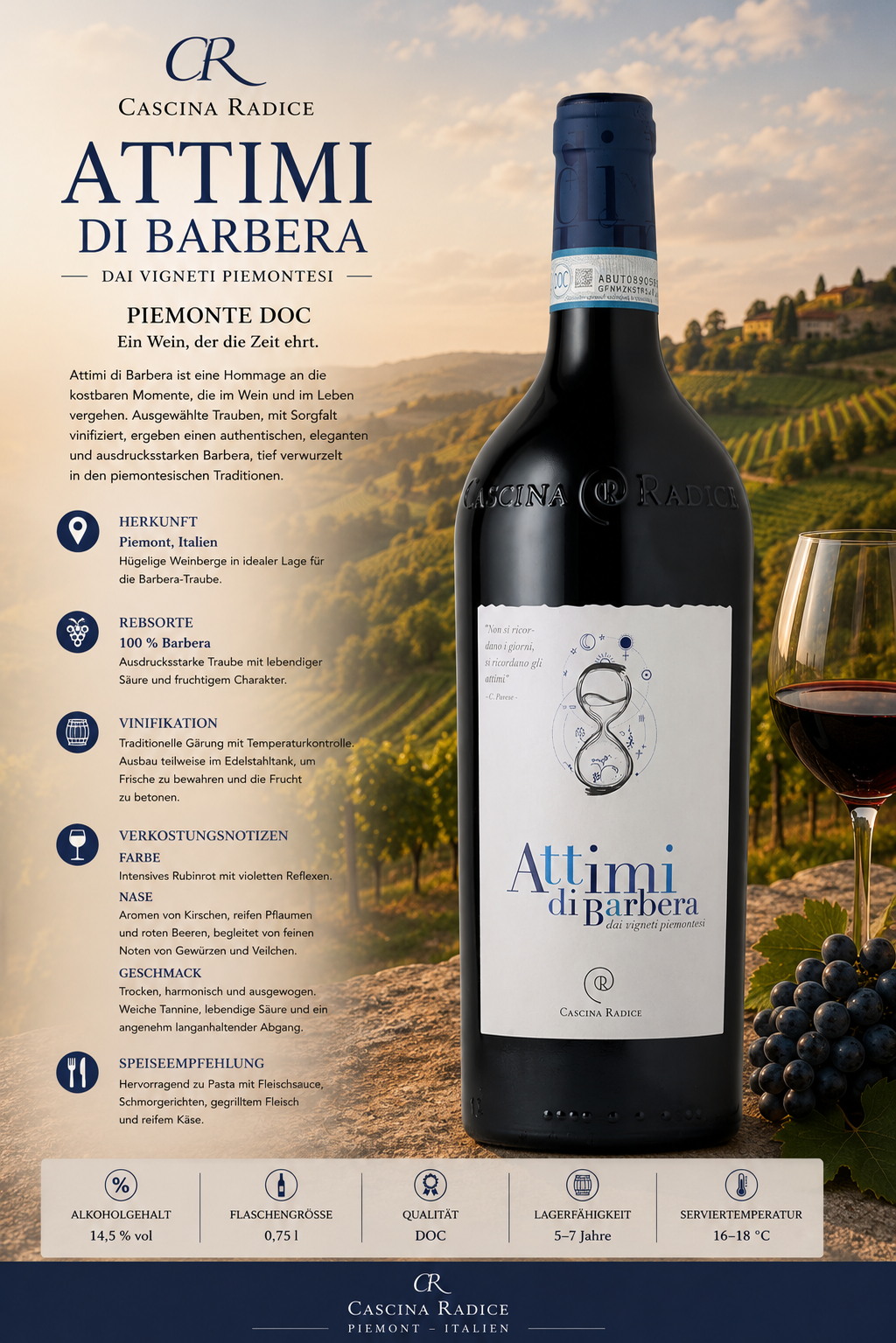 Wein, Rotwein, Etikett, Flasche, Piemonte