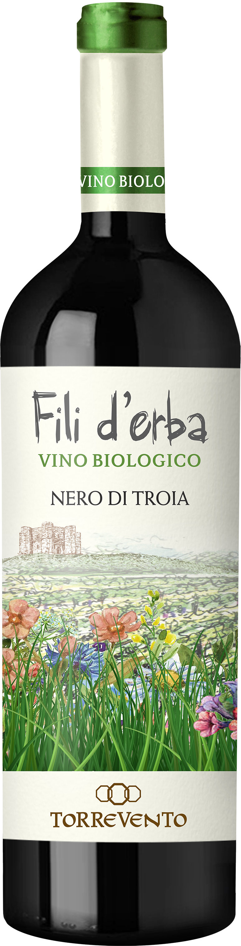 Fili d' Erba Nero di Troia Puglia IGT - Bio - 0,75l 13% - 2019 | Torrevento