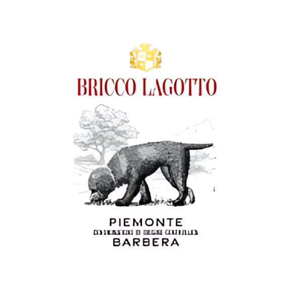 Bricco Lagotto