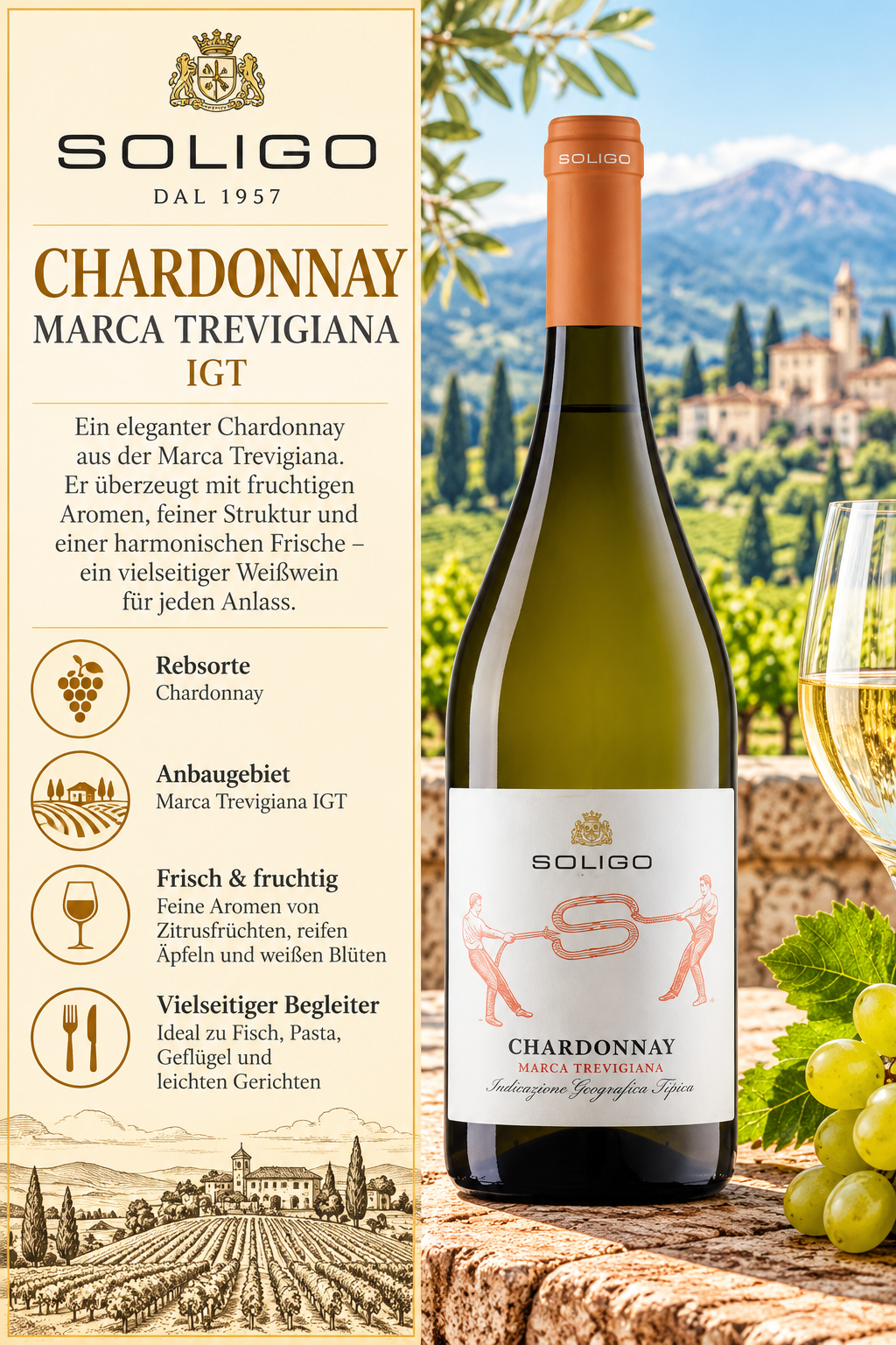 Weißwein, Chardonnay, IGT, Soligo, Flasche