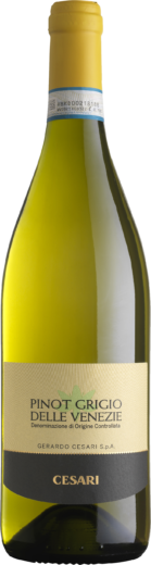 Pinot Grigio Delle Venezie DOC 0,75l 12% - 2023 | Cesari