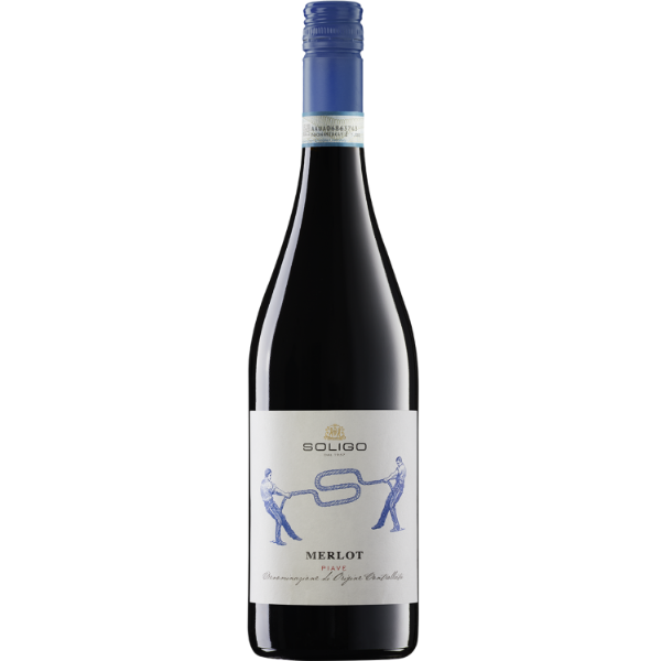 Alkohol, Getränk, Roter Wein, Wein