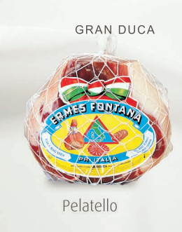 Prosc.Stag. Granduca Pelatello   Ermes Fontana