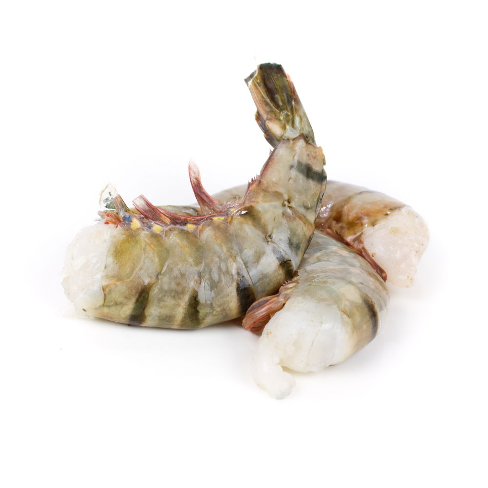 headlessshellon