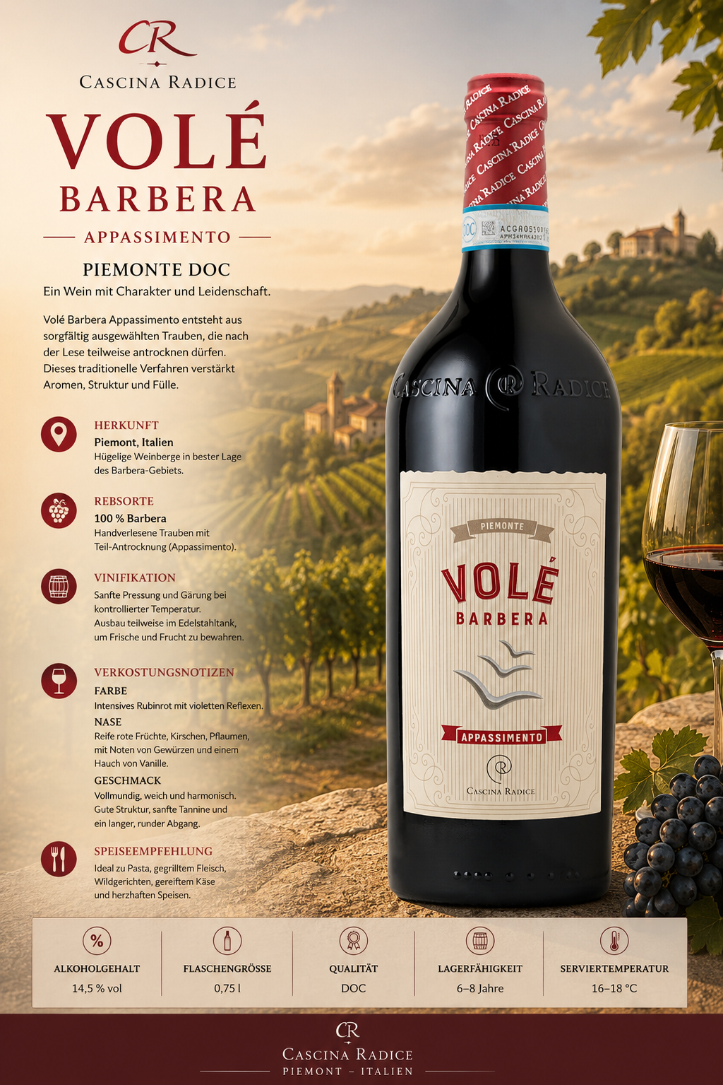 Wein, Rotwein, Volé Barbera, Piemonte, Appassimento