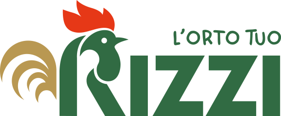 Rizzi