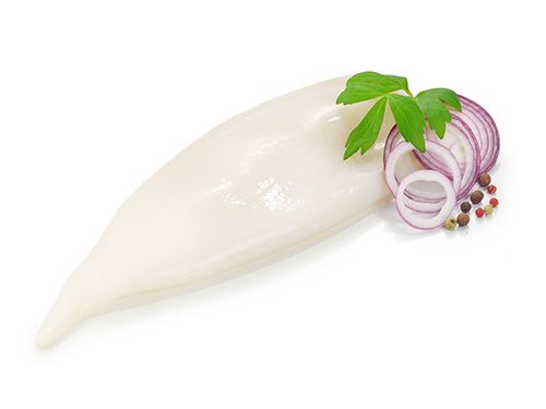 Tintenfischtuben U5 1Kg | Global Meat