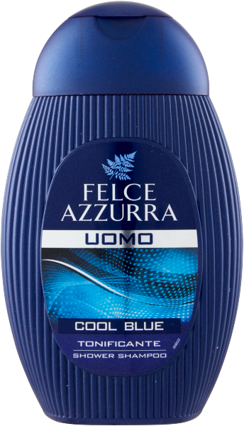 Duschgel Shampoo Uomo Cool Blue 400ml | Felce Azzurra