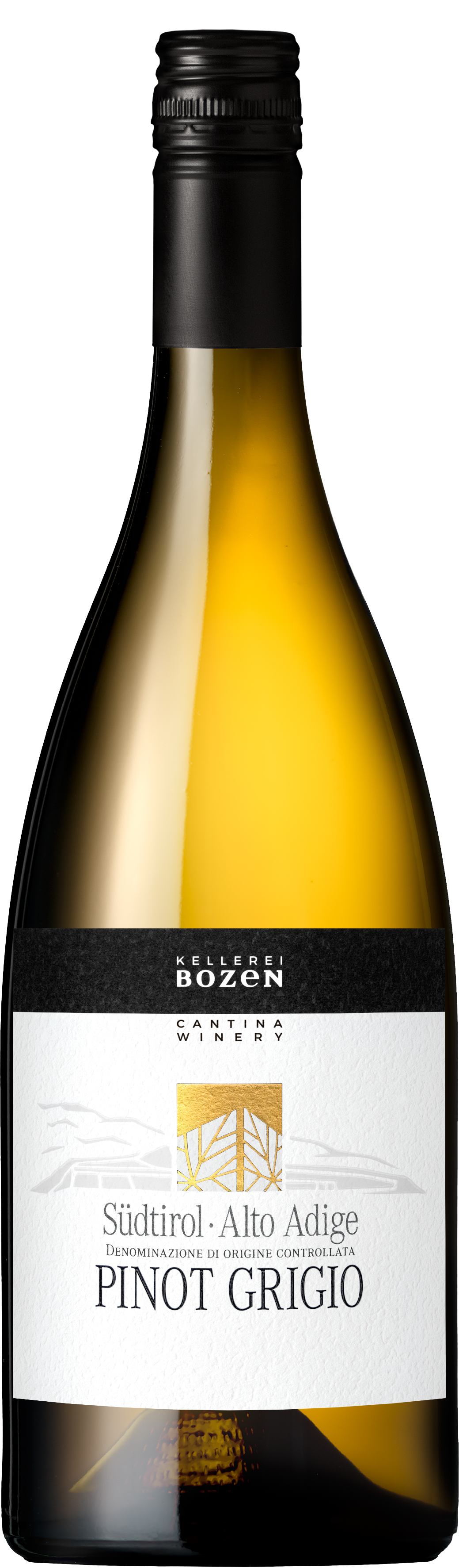 Alkohol, Flasche, Schnaps, Weinflasche, Bier