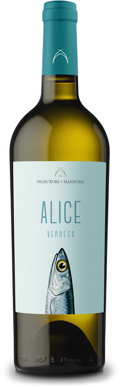 Verdeca Alice  IGT 0,75l 13% - 2023 | Produttori di Manduria